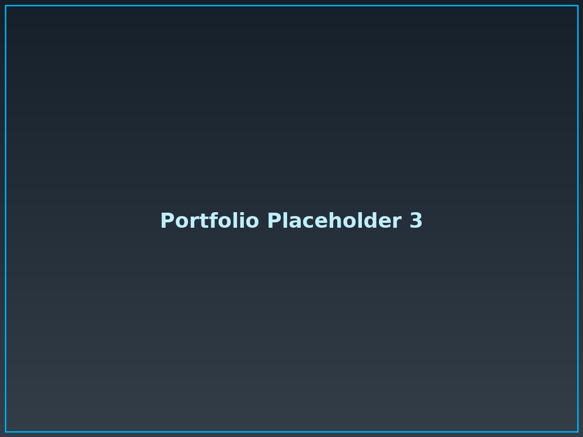Portfolio item 3